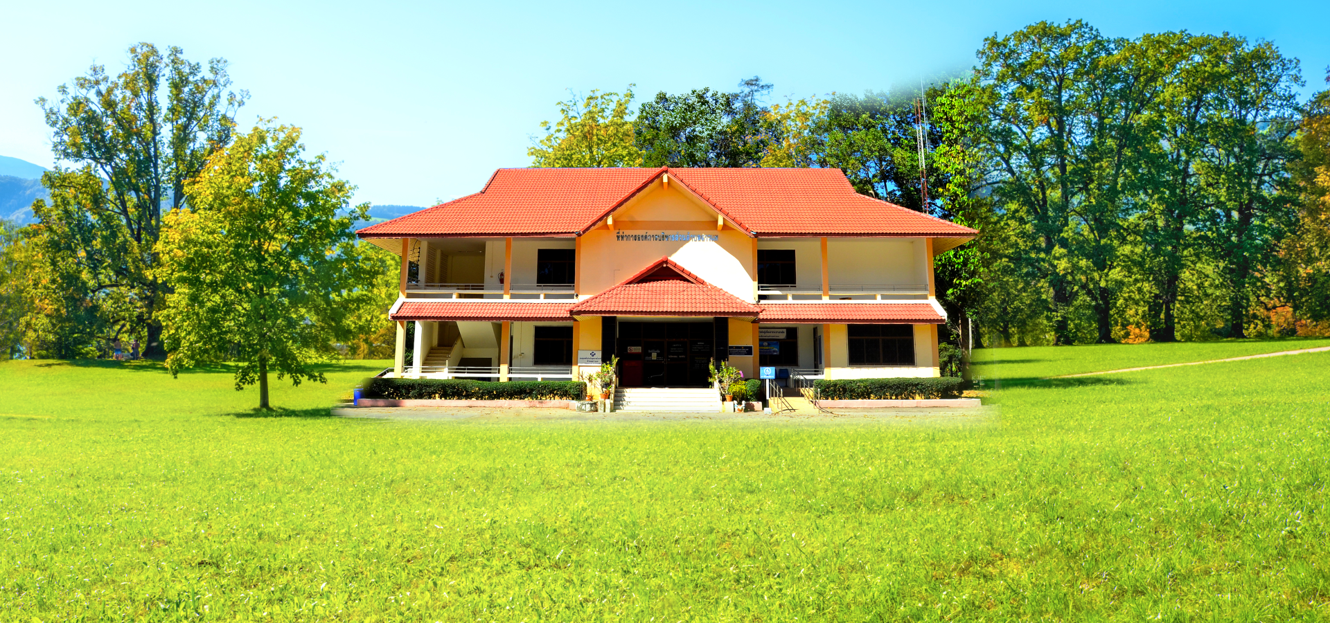 พื้นหลัง